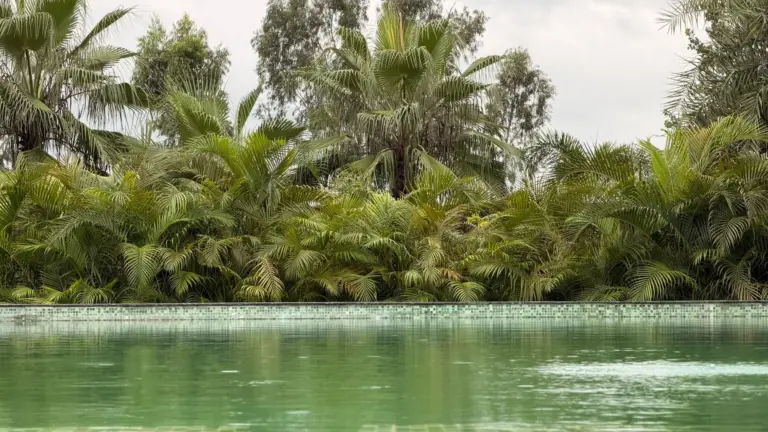 Salzwasserpool: Salzgehalt, Umrüstung und Material