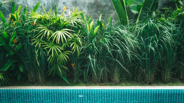Stahlwandpool 2026: Acht Modelle für Garten und Familie
